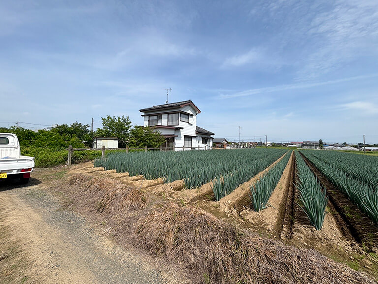 吉川市上笹塚 物件写真 1
