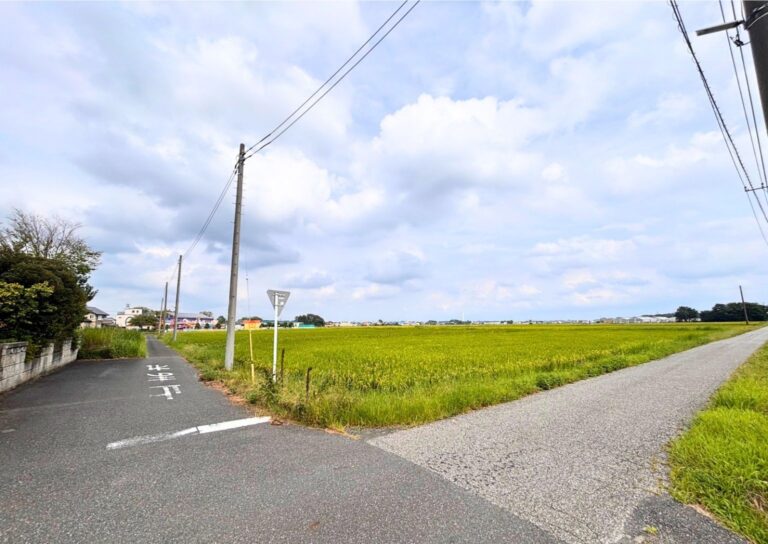 吉川市皿沼一丁目 写真 2